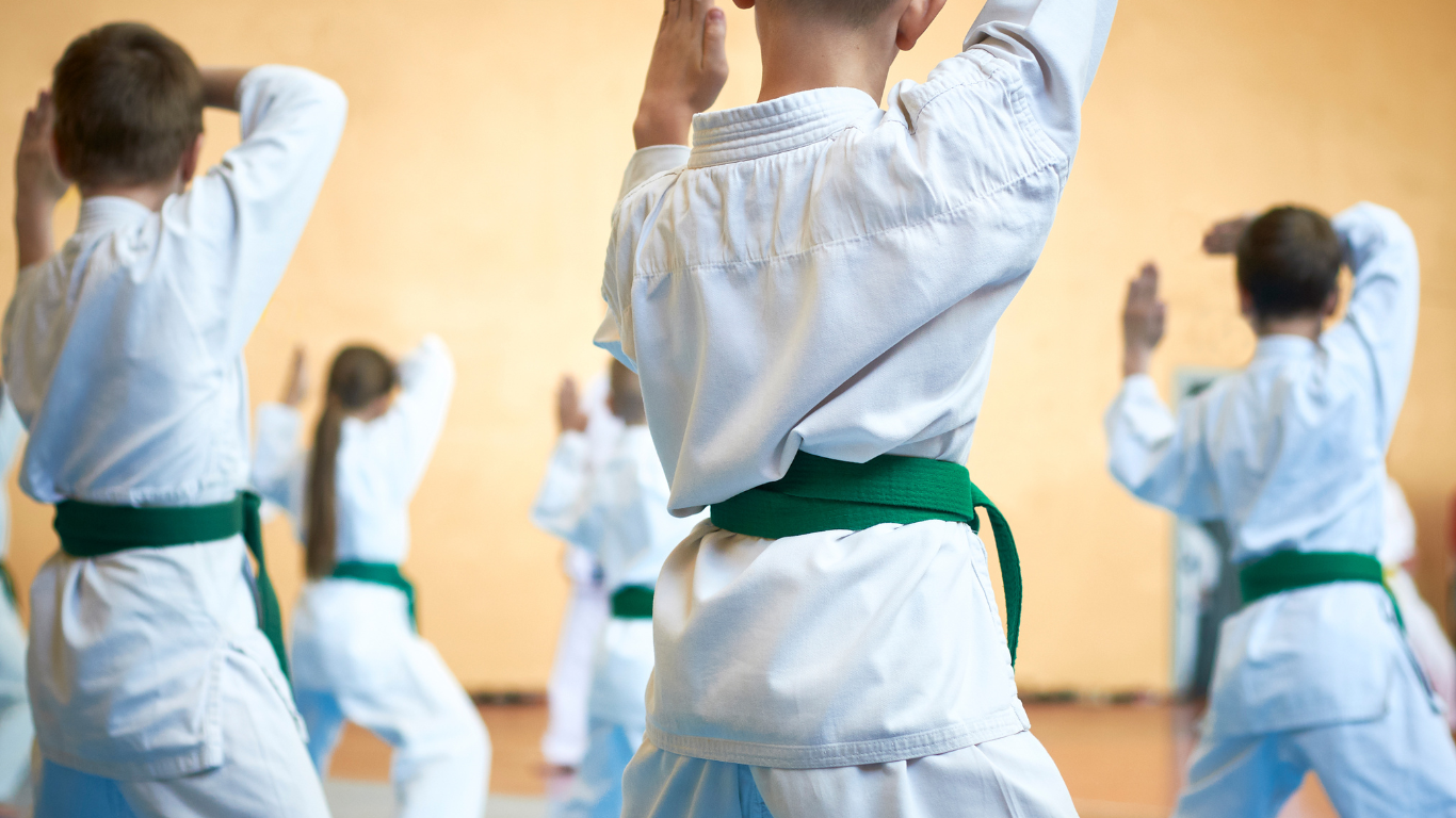 arena karate das Kinderkarate in der Region
