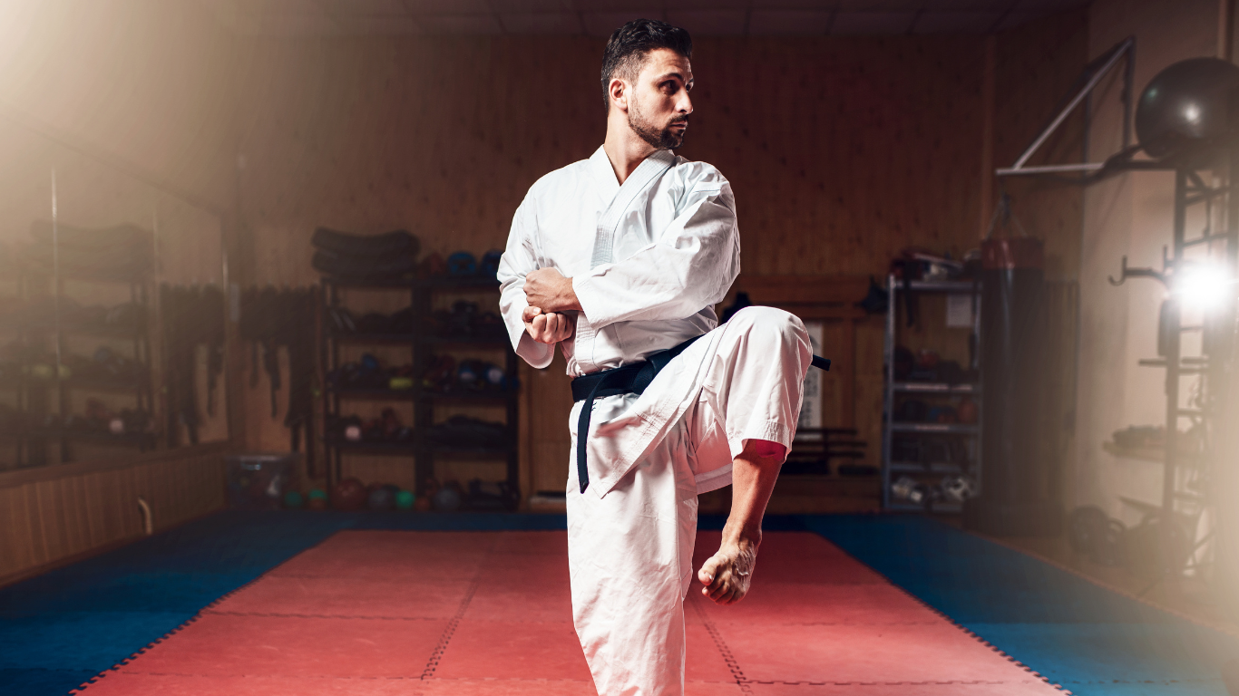 arena karate - die Karateschule in Mellingen